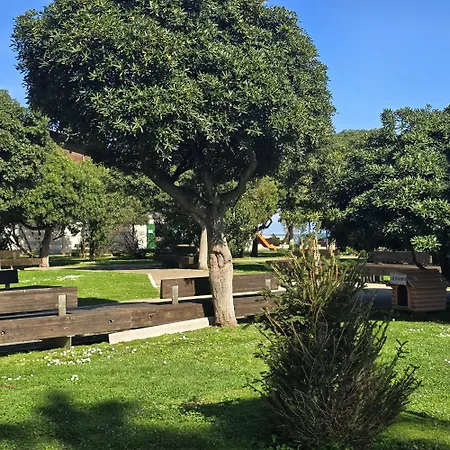 Affitti Brevi Liguria - Casa Zinola Lägenhet Savona
